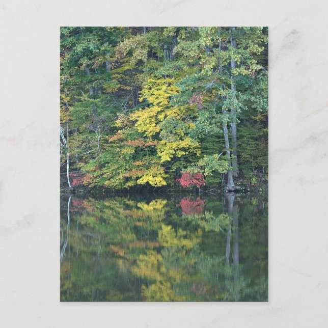 Postal Reflexiones de otoño (Anverso)