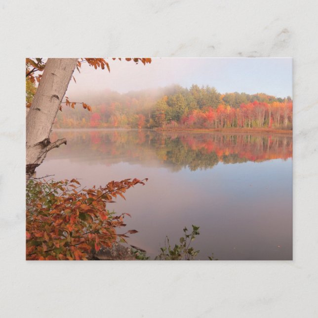 Postal Reflexiones de otoño más allá del nacimiento (Anverso)