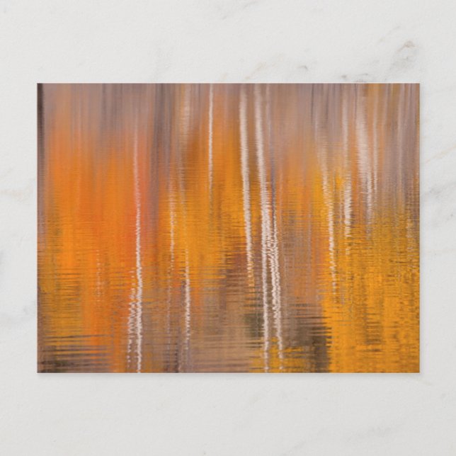 Postal Reflexiones de otoño sobre el estanque de castores (Anverso)
