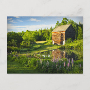 Postal Reflexiones de primavera en los Adirondacks, N.Y.