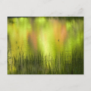 Postal Reflexiones en el lago espejo   Yosemite