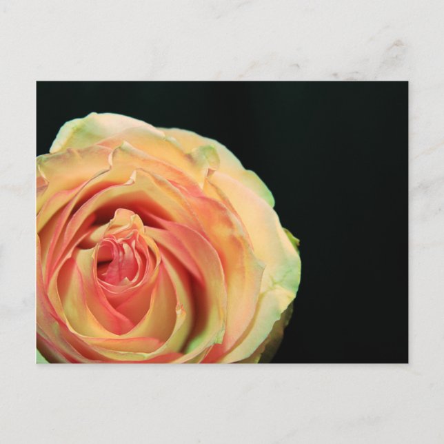 Postal Reflexiones Rosas (Anverso)