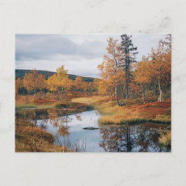 Postal Reflexiones ruska finlandesas de Serenade de otoño