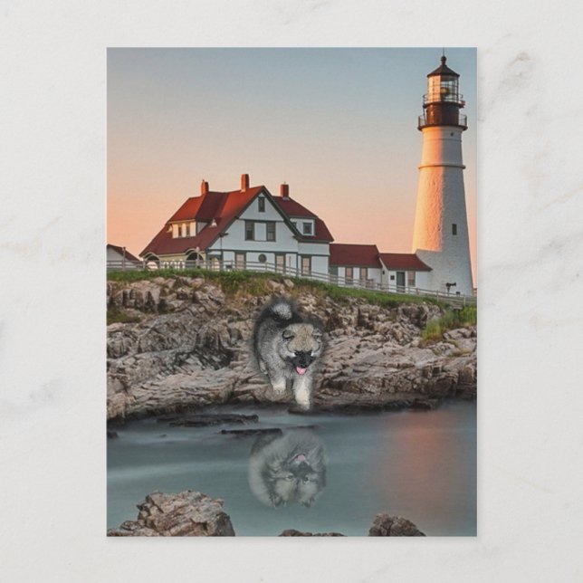 Postal Reflexiones sobre el faro (Anverso)