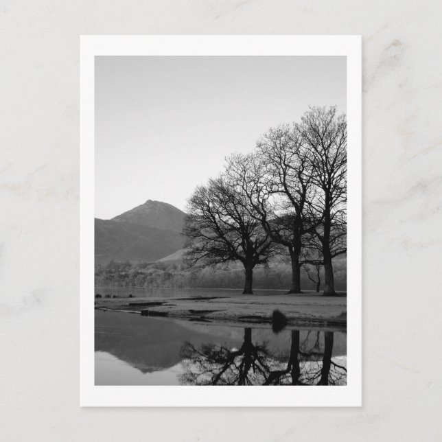 Postal Reflexiones sobre la bahía de Strandshag en el pos (Anverso)