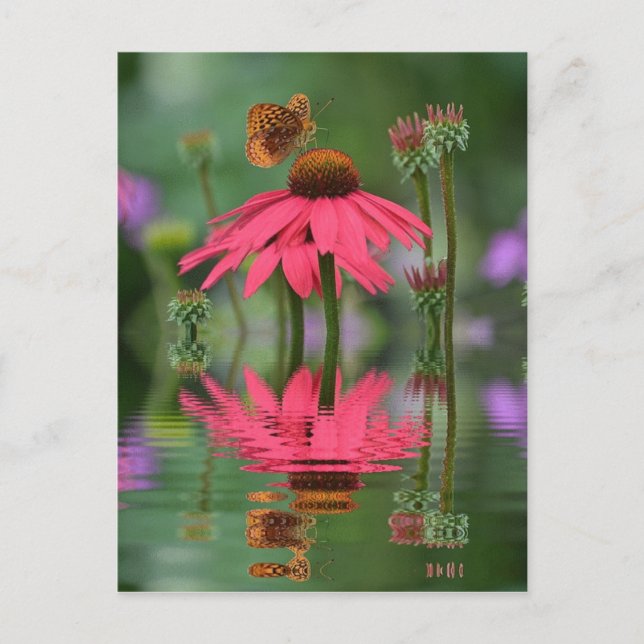 Postal Reflexiones sobre la mariposa de verano (Anverso)