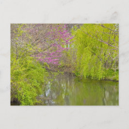 Postal Reflexiones sobre la naturaleza