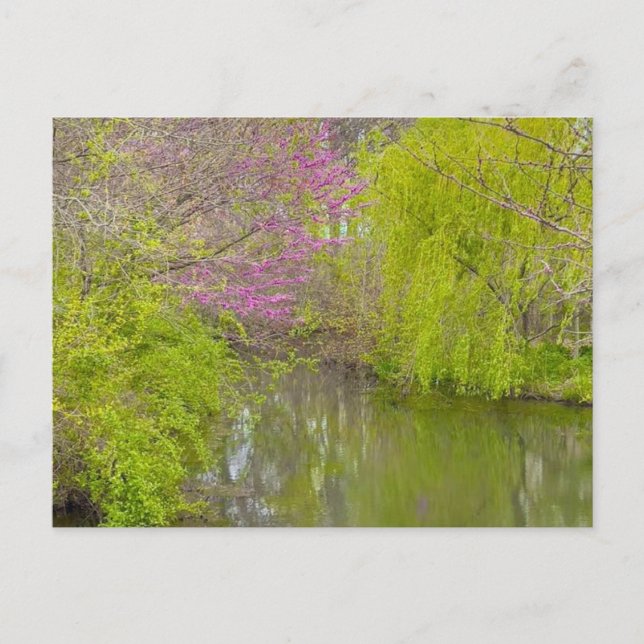 Postal Reflexiones sobre la naturaleza (Anverso)