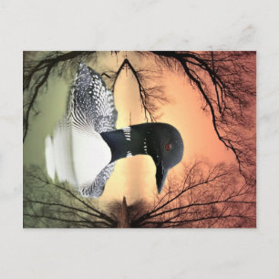 Postal Reflexiones sobre préstamos