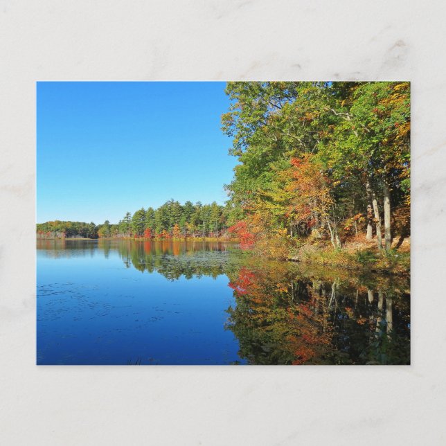 Postal Reflexiones sobre Whitney Pond (Anverso)