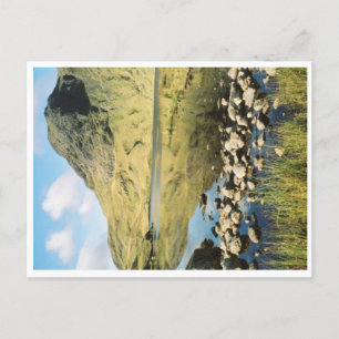 Postal Reflexiones veraniegas de Stickle Tarn, distrito d