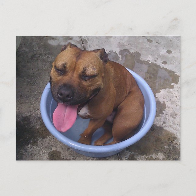 Postal Refrigeración en un día caliente (Anverso)