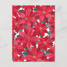 Refugio de invierno de Poinsettias