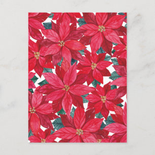 Postal Refugio de invierno de Poinsettias
