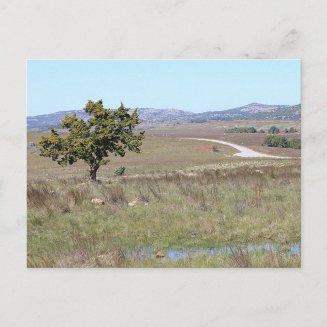 Postal Refugio de vida salvaje de Witchita en Oklahoma (Anverso)