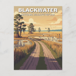 Postal Refugio Nacional de Vida Silvestre Blackwater de M
