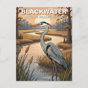 Postal Refugio Nacional de Vida Silvestre Blackwater de M