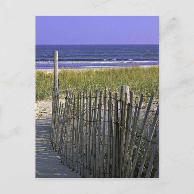 Postal Refugio Nacional de Vida Silvestre de Chincoteague (Anverso)