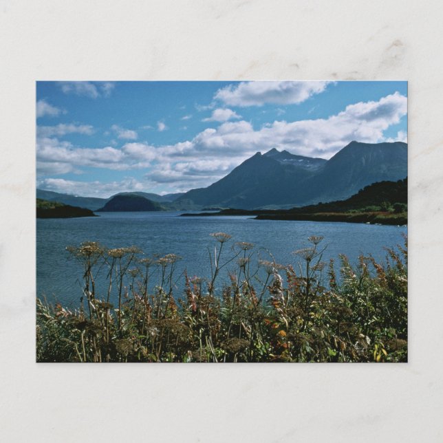 Postal Refugio Nacional de Vida Silvestre Kodiak (Anverso)