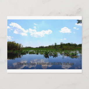 Postal Refugio Nacional de Vida Silvestre Okefenokee