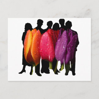 POSTAL REFUGIO SEGURO