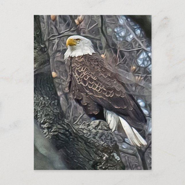 Postal Regal Bald Eagle (Anverso)