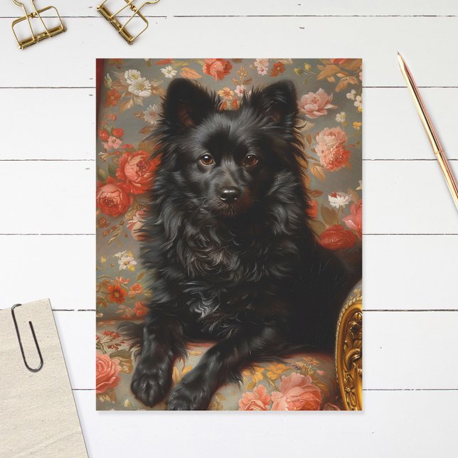 Postal Regal Schipperke Dog Vintage (Subido por el creador)