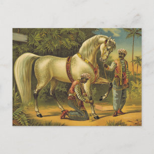 Postal Regalía de caballos TEE