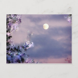 Postal Regalo aéreo