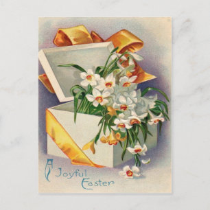 Postal Regalo Daffodil Junquillo
