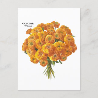 Postal Regalo de cumpleaños de Marigold de Octubre en el