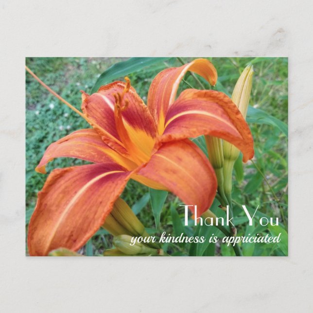 Postal Regalo de Flor de Lirio Naranja Gracias  (Anverso)