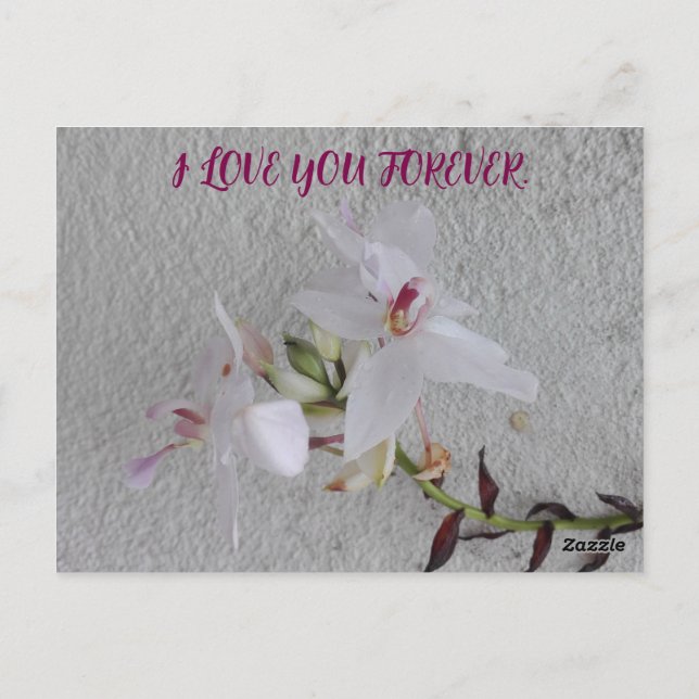 POSTAL REGALO DE FLORES DEL DÍA DE LAS HIJAS (Reverso)