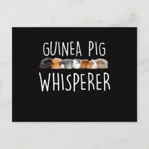 Postal Regalo de ganadería de cerdo guineano