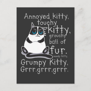 Postal Regalo de gato Kitty Touchy Annoyed Kitten