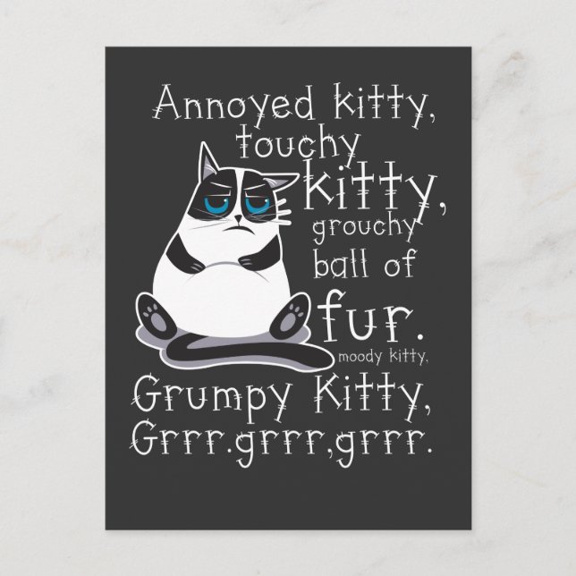 Postal Regalo de gato Kitty Touchy Annoyed Kitten (Anverso)
