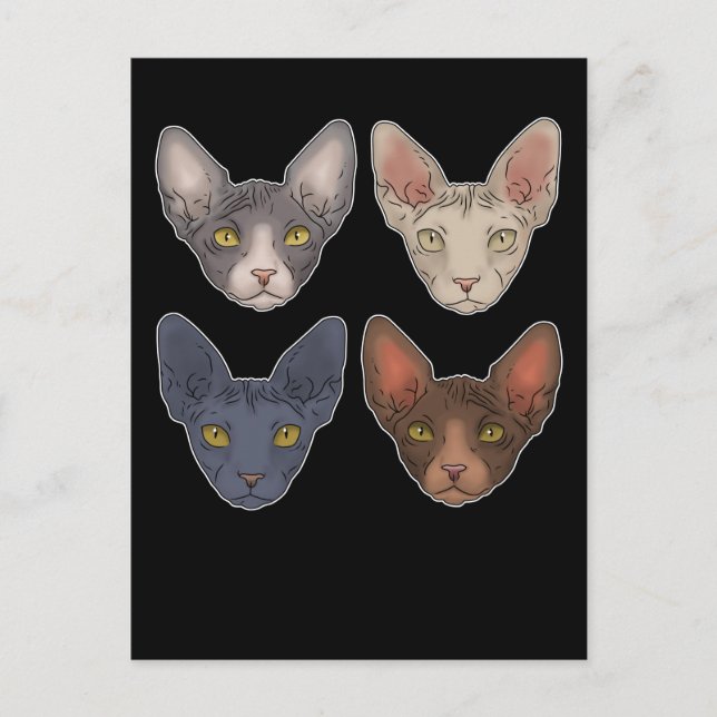 Postal Regalo De Gato Sphynx Para Hombres Gato Sphynx (Anverso)