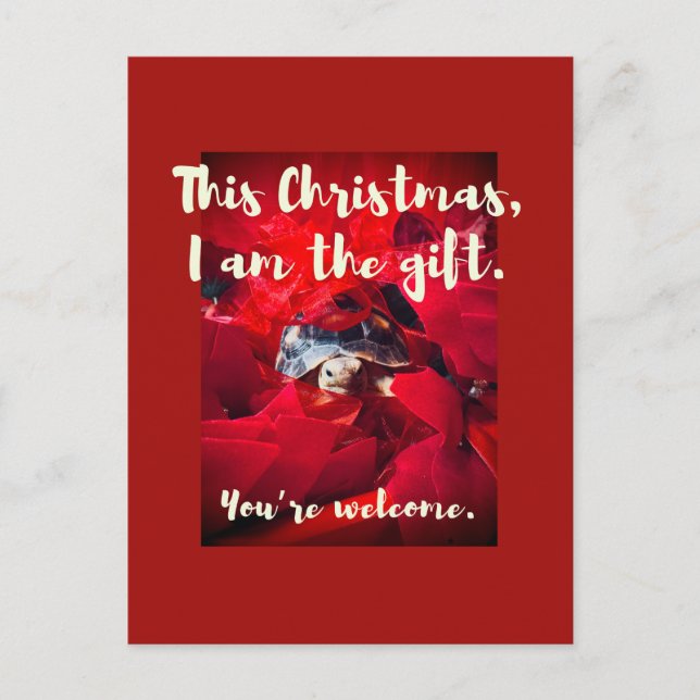 Postal Regalo de Navidades Tortoise Grumpy Cute Baby Sulc (Anverso)