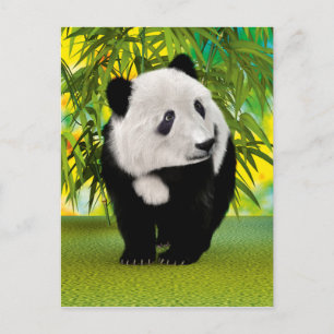 Postal Regalo de Oso Panda Adorable Kawaii para Amantes d