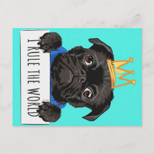 Postal Regalo de Pug domino el mundo, regalo divertido pa