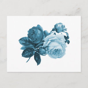 Postal regalo de rosa azul vintage