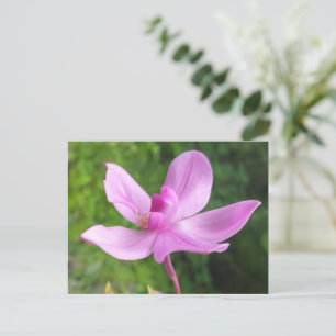 POSTAL REGALO PARA EL AMOR NATURAL CON FLORES