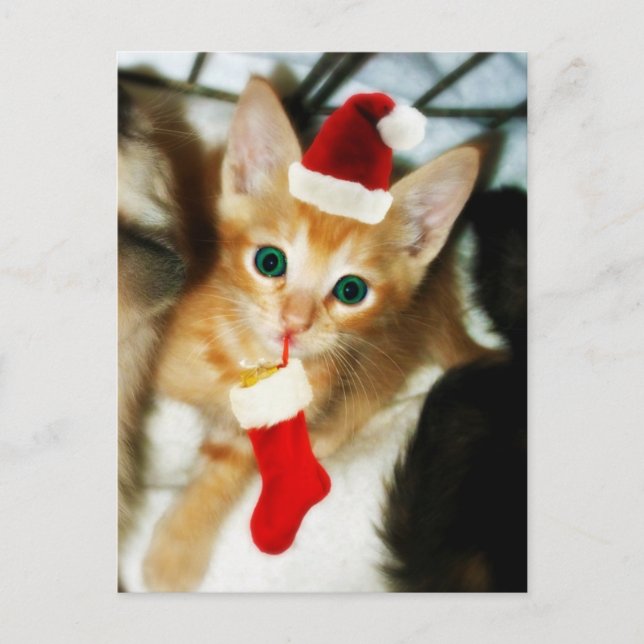 POSTAL REGALO PARA USTED (Anverso)