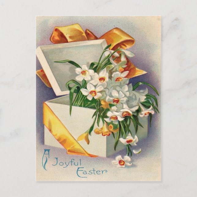 Postal Regalo Presente Daffodil Jonquil (Anverso)