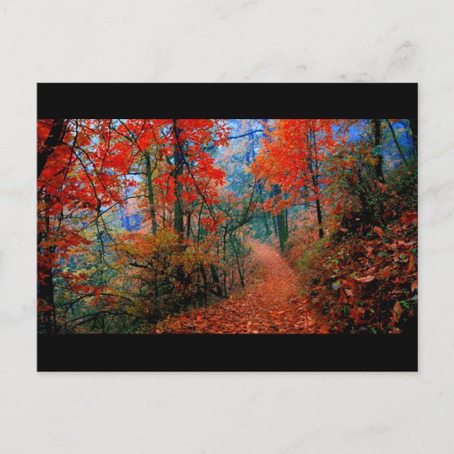 Postal Regalos de acuarela de las llamas del otoño en el  (Anverso)