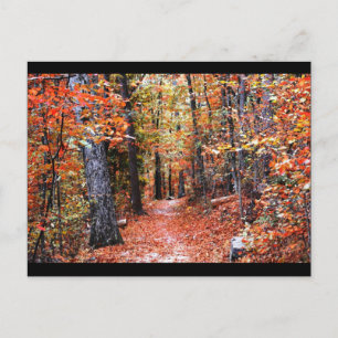 Postal Regalos de Acuarela del Sendero Otoñal del Bosque