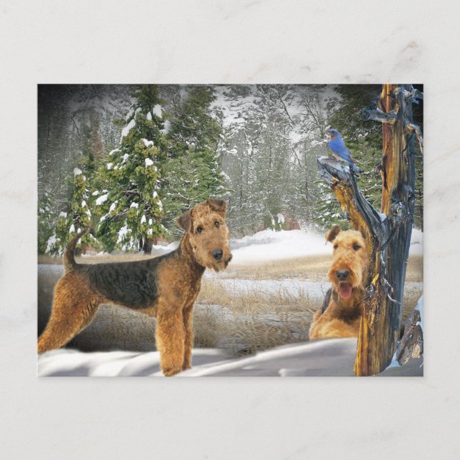 Postal Regalos de Airedale Terrier Winter Day (Anverso)