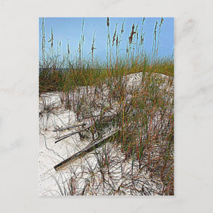 Postal Regalos de arte de Clearwater Beach Florida