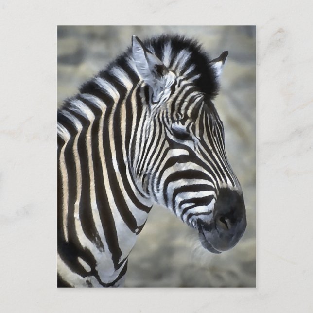 Postal Regalos de arte de Zebra Lovers (Anverso)
