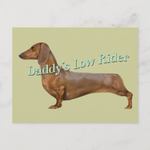 Postal Regalos de baja carrera de Dachshund Daddy